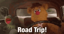 Road Trip Driving GIF - Road Trip Driving Kermit GIFs