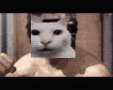 Yakuza Uncanny Cat GIF - Yakuza Uncanny Cat Canny Cat GIFs