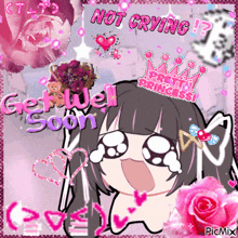 a picture of a girl with a crown that says pretty princess on it