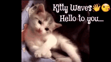 Kitty Waves GIF - Kitty Waves Hello To You GIFs