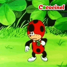 a cartoon ladybug is standing in a grassy field with the words cococinel on the bottom