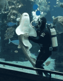 diver shark aquarium