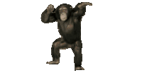 Chimp Chimpanzee Sticker