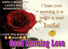 Good Morning My Love Morning GIF - Good Morning My Love Morning Roses GIFs