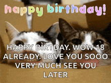 a picture of two cats with the words happy birthday wow 18 already love you sooo very much see you later