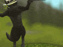 a black animal is holding a dragonfly in its mouth