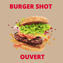 Burger Shot GIF - Burger Shot GIFs