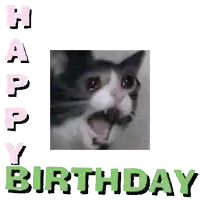 a happy birthday card with a picture of a cat and the words happy birthday