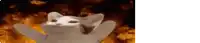a white cat is standing in front of a fire with its arms up .
