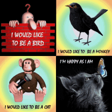 Like To Be A Cat Blackbird GIF - Like To Be A Cat Blackbird Monkey GIFs