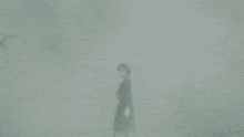 a person standing in a foggy field with a sword