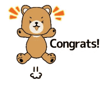 congrats congratulations jumping up and down excited bear