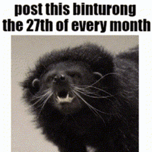 a picture of a black animal with the words post this binturong the 27th of every month
