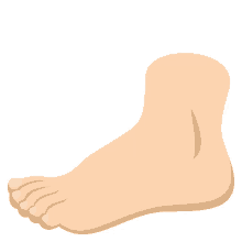 barefoot foot