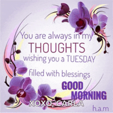 a good morning message with purple flowers and the words " you are always in my thoughts wishing you a tuesday "