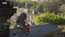 a monkey is holding a can of coca cola in its paws