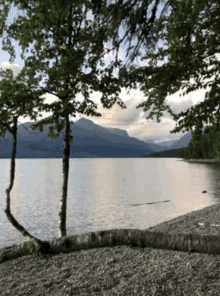Luxiconphoto Gnp GIF