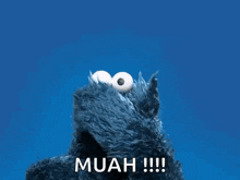 cookie monster from sesame street says muah !!! in front of a blue background