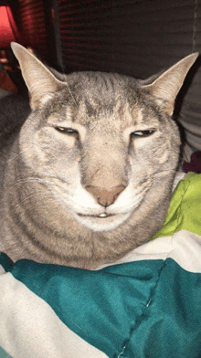 a cat laying on a bed with a funny face on its face