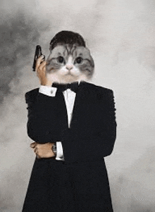 a cat wearing a tuxedo and holding a gun .