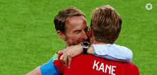 Gareth Southgate Harry Kane GIF - Gareth Southgate Harry Kane England GIFs
