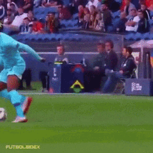a soccer player kicking a ball on a field with the words futbol bidex on the bottom left