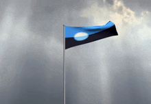 a black and blue flag with a white circle in the middle