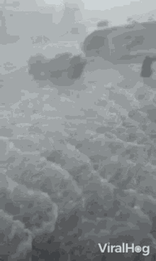 Hurricane Viralhog GIF - Hurricane Viralhog Flood GIFs