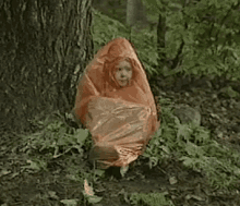 Bagboy Hiding GIF - Bagboy Hiding Forest Gump GIFs