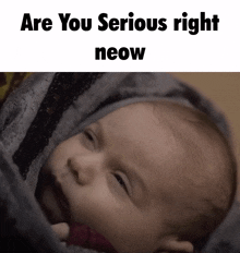 a baby is wrapped in a blanket with the caption " are you serious right neow " above it