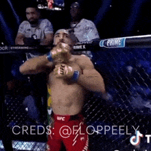 a man in a ufc shorts stands in a boxing ring