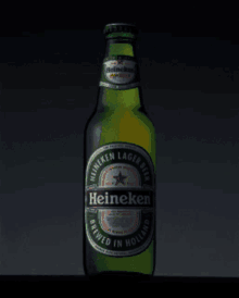 Heineken Drink GIF - Heineken Drink Alcohol GIFs