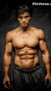 a shirtless man is standing in front of a dark background with pixverse.com in the corner