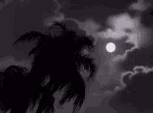 Night Moon GIF