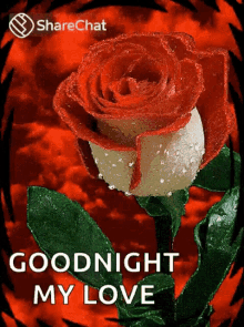Love Goodnight GIF - Love Goodnight Flowers GIFs