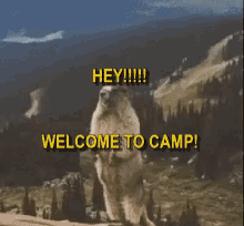 Camp Hey GIF - Camp Hey Welcome To Camp GIFs