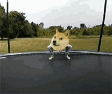 Doggo Doge GIF - Doggo Doge Meme GIFs
