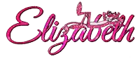 the name elizabeth is written in pink with a pink panther behind it