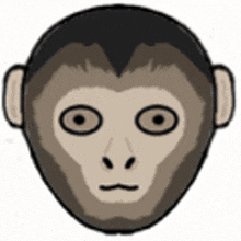 a close up of a monkey 's face with a serious look on it .