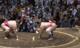 Thegoon Sumo GIF