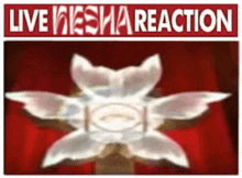 a picture of a white flower with wings on a red background with the words `` live iesha reaction '' .