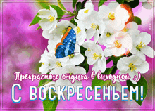 цветы воскресенье GIF - цветы воскресенье бабочка GIFs