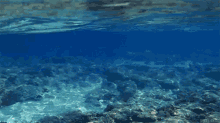 Water Underwater GIF - Water Underwater Sea GIFs
