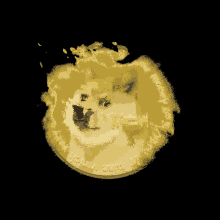 Doge Coin GIF