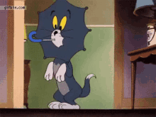 توم و جيري كارتون GIF - Tom And Jerry Cartoon Animation GIFs