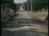 a person is walking down a dirt road with trees on the side .