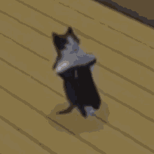 a black and white cat is laying on its back on a wooden floor .