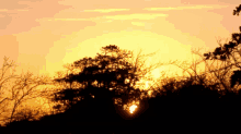 Sun Rise GIF - Sun Rise GIFs