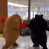 Fighting Bear GIF - Fighting Bear Boxing GIFs