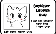 Boy Boykisser GIF - Boy Boykisser Uwu GIFs